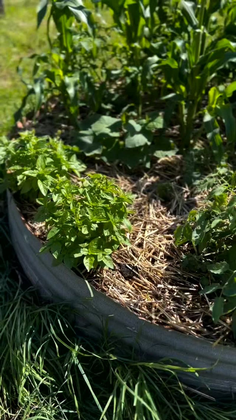 Improves Soil Health Over Time