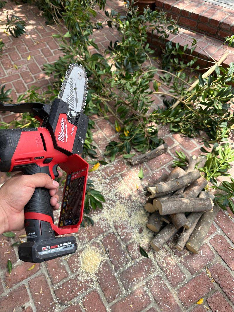 Mini Chainsaws with Narrow Bar Profiles