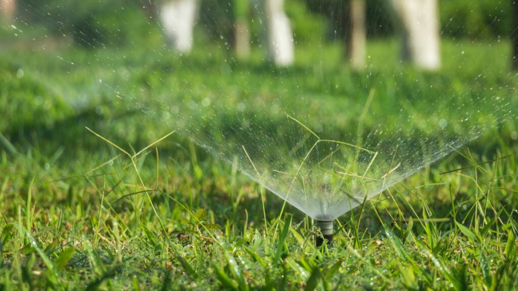 Sprinkler Heads