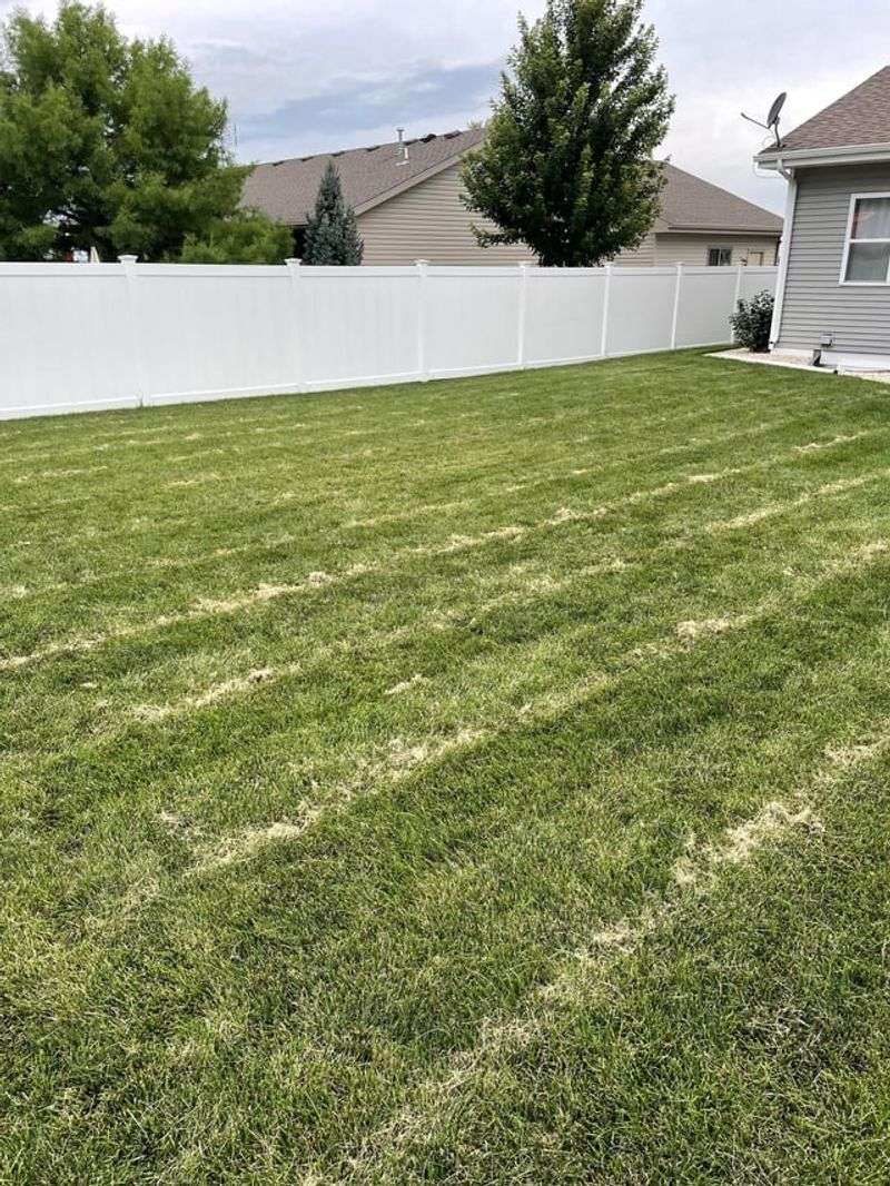 Leave Clippings On The Lawn