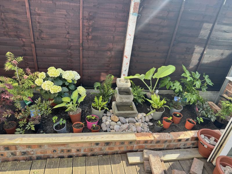 Densely Packed Plantings