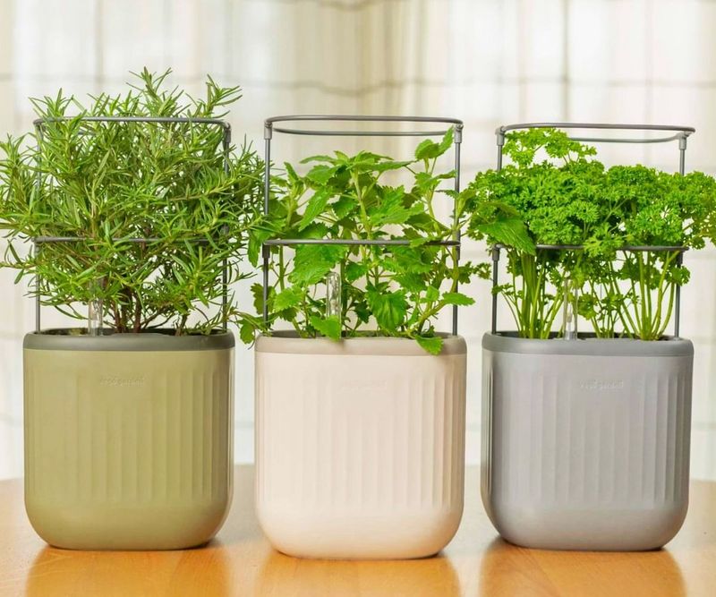 Homemade Herb-Specific Fertilizer Blends