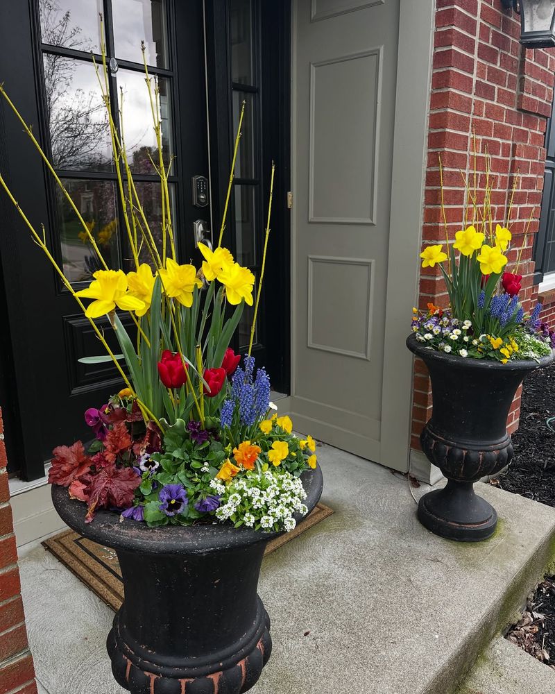Seasonal Bulb Display