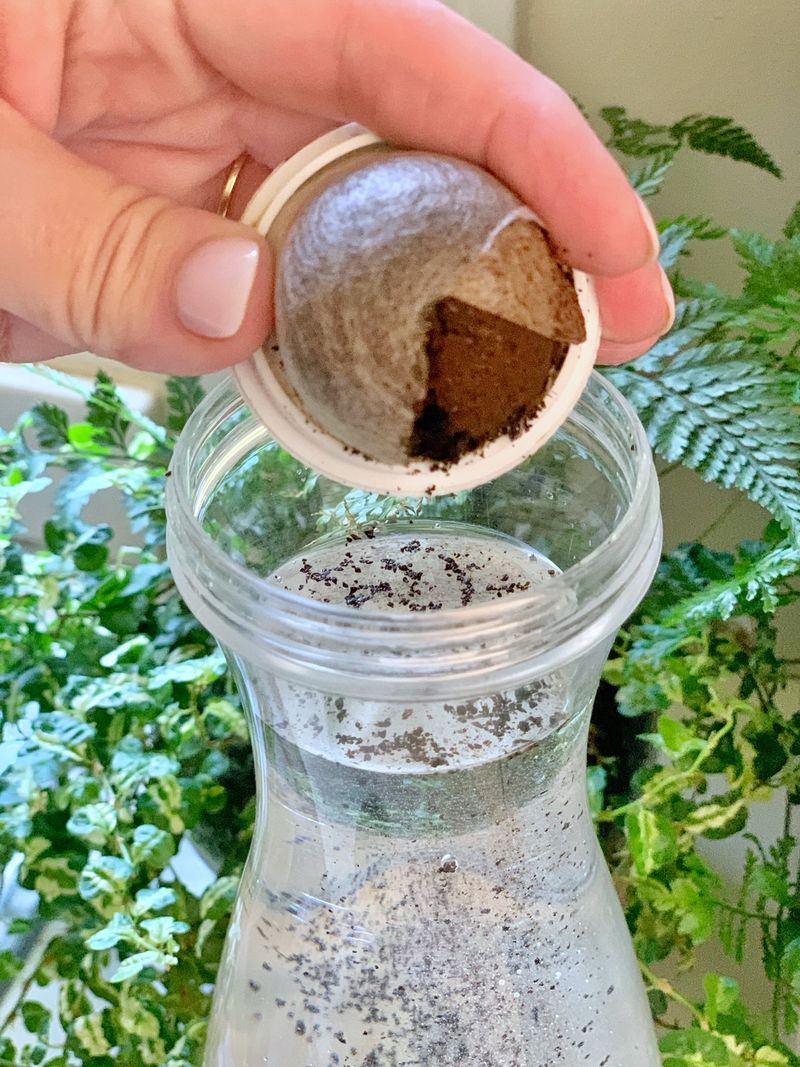Diluted Coffee For Acid-Loving Herbs