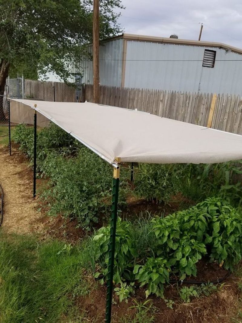 Afternoon Shade Cloth