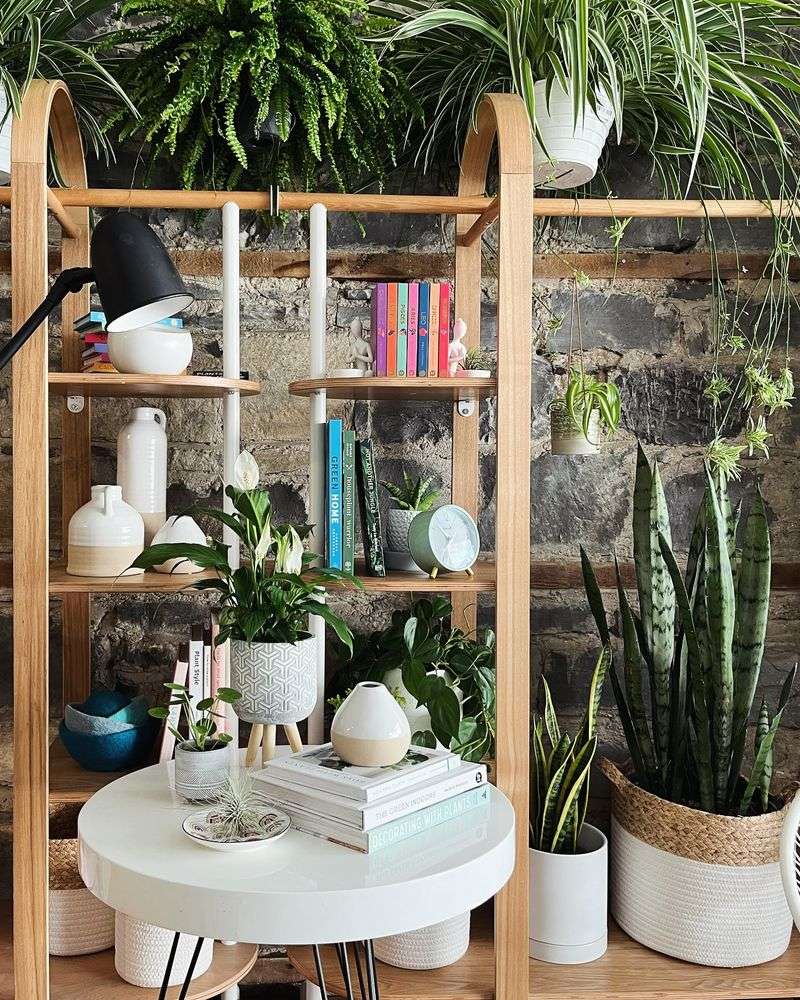 Bookshelf Plant Styling