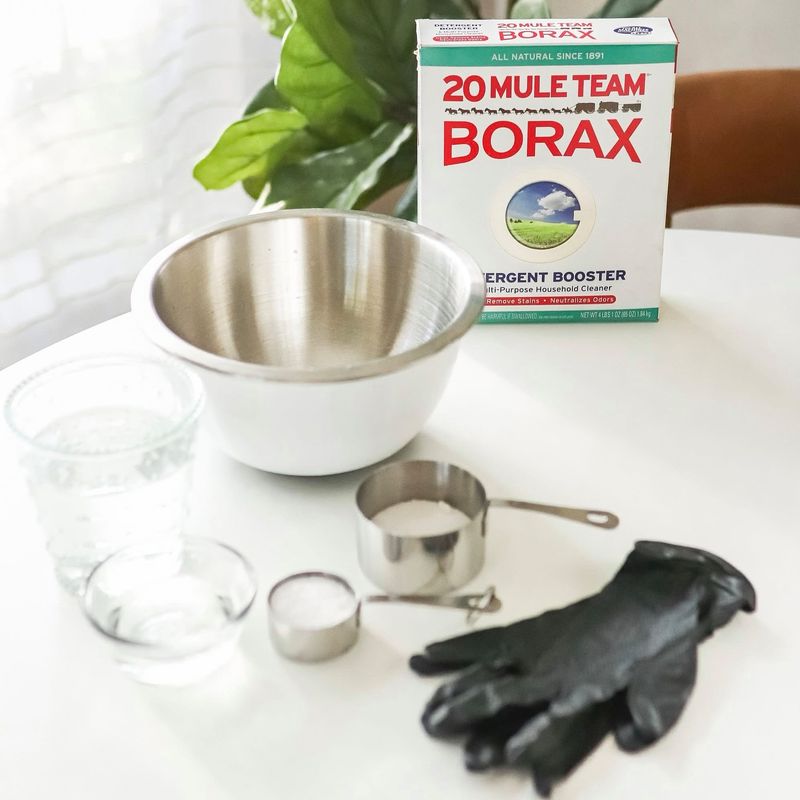 Borax and Sugar: Sweet Trap Solution