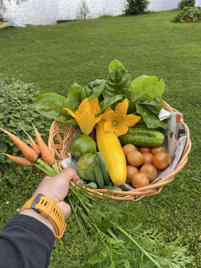 Reduce Grocery Transportation Costs