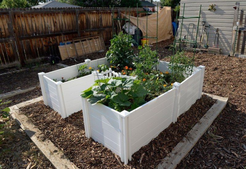 Community Building Potential