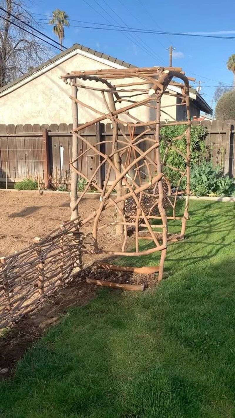 Branch Archway