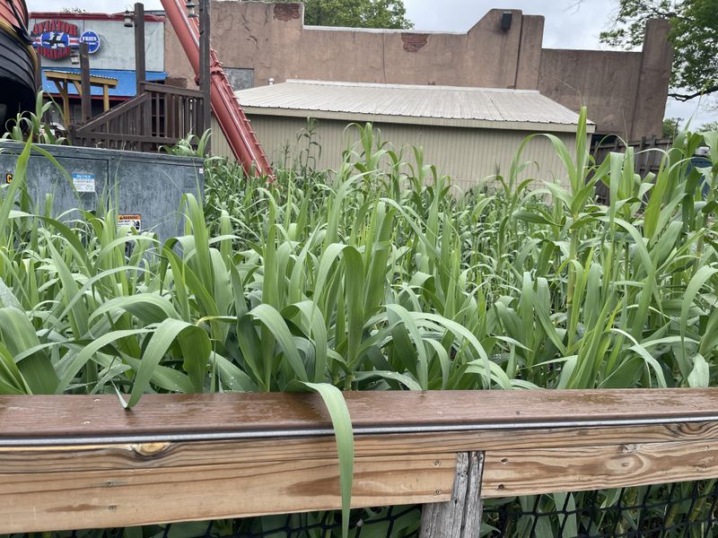 Crop Rotation Planning