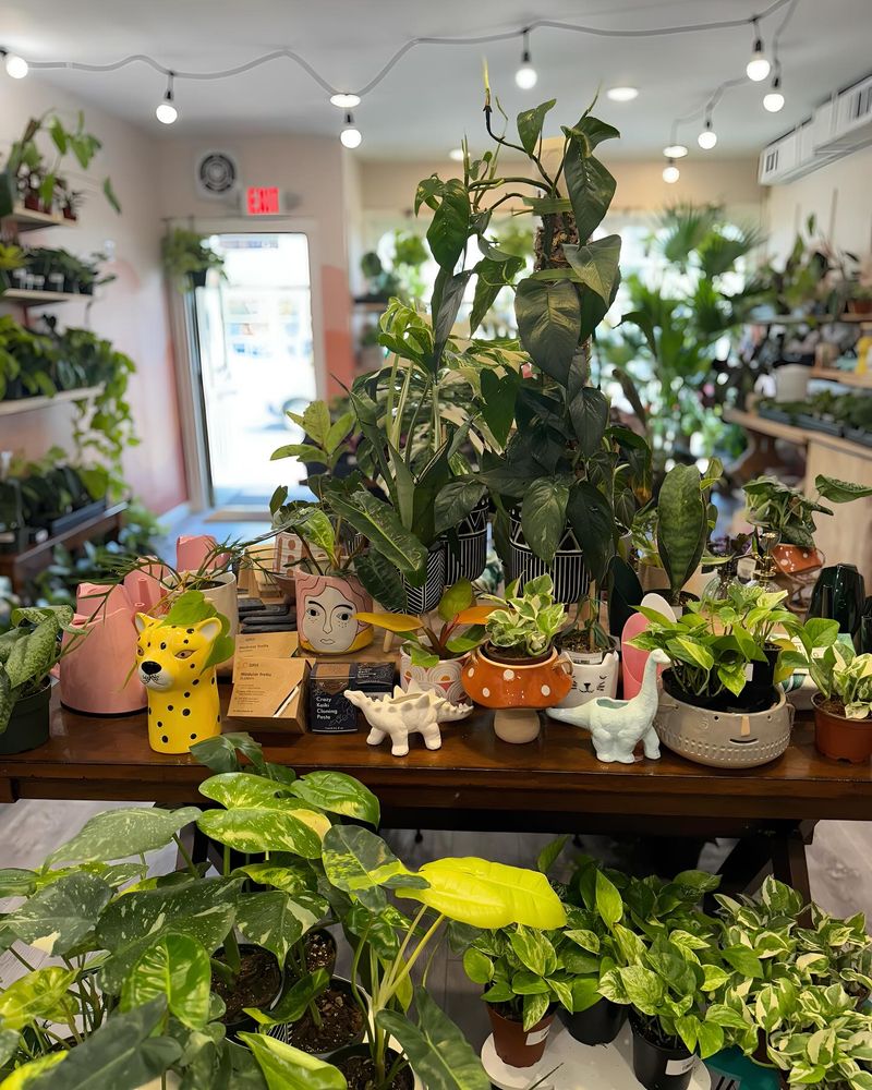 Rare Plant Growing Facilities