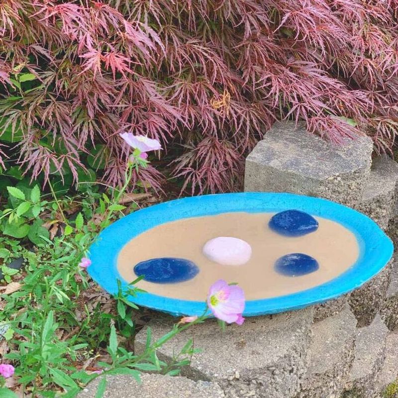 Butterfly Puddling Pool