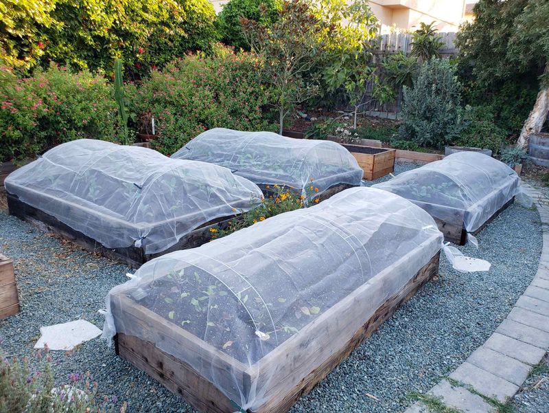 Floating Row Covers