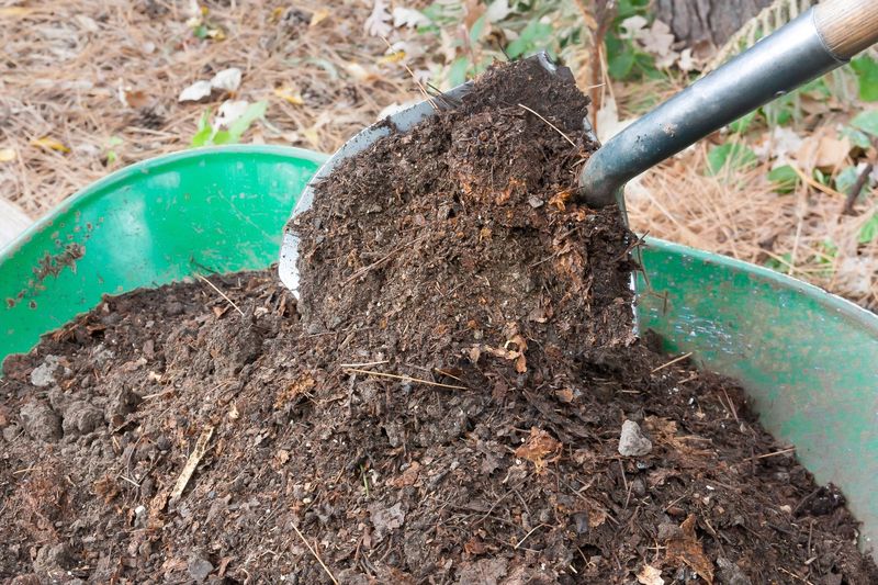 Wet Mulch Aroma