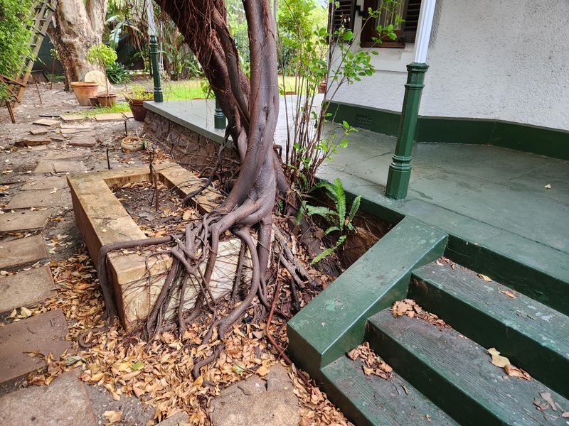Damage to Structures or Hardscaping