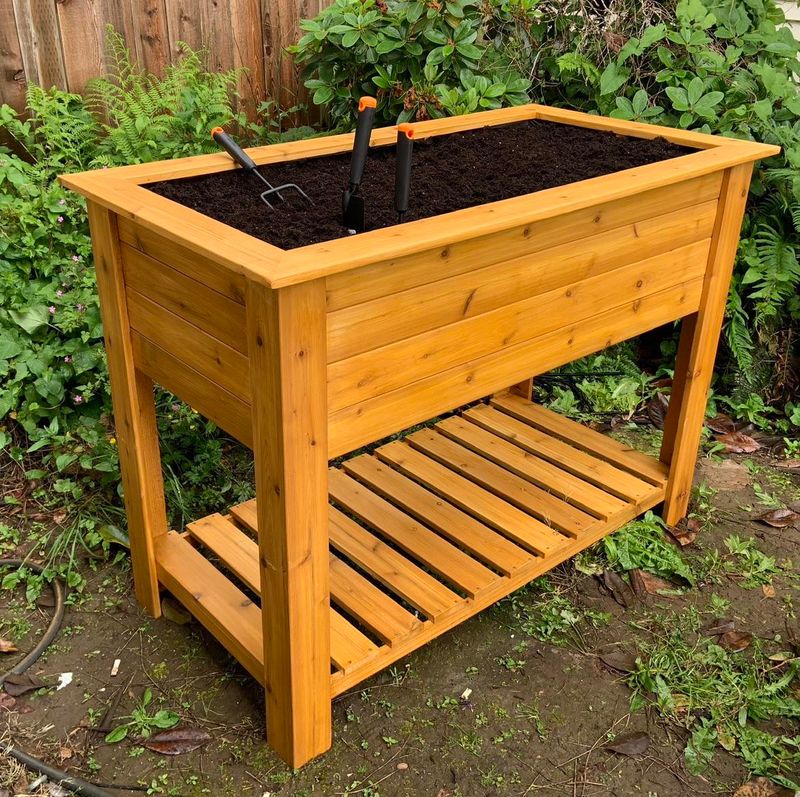 Grow Plants in Raised Beds