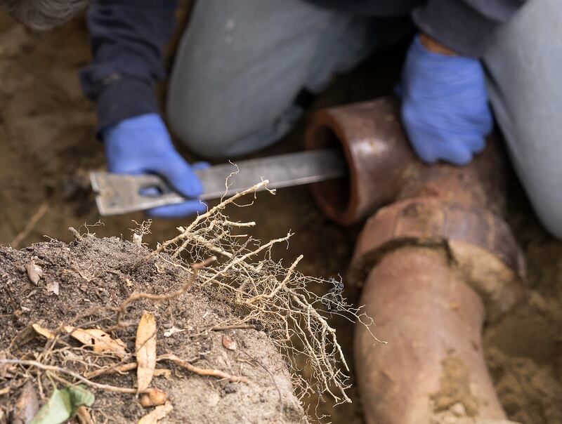 Over Septic Systems
