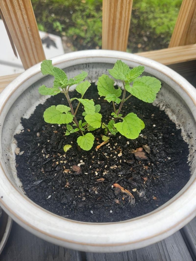 Propagation Methods