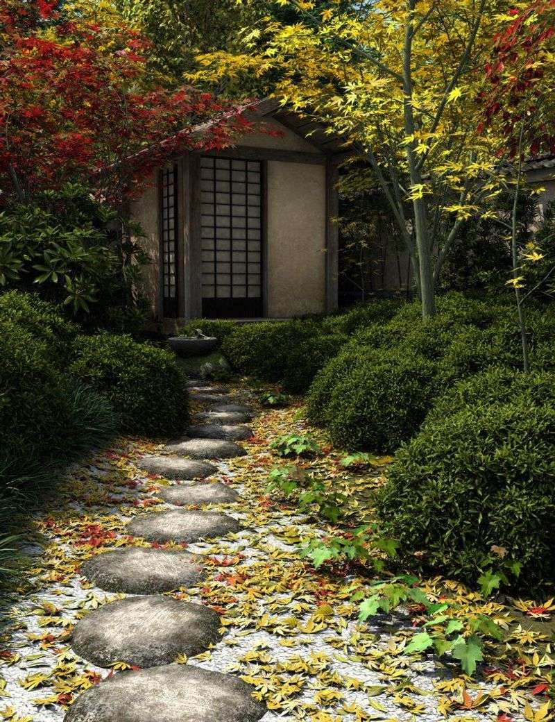 Woodland Edge Transition
