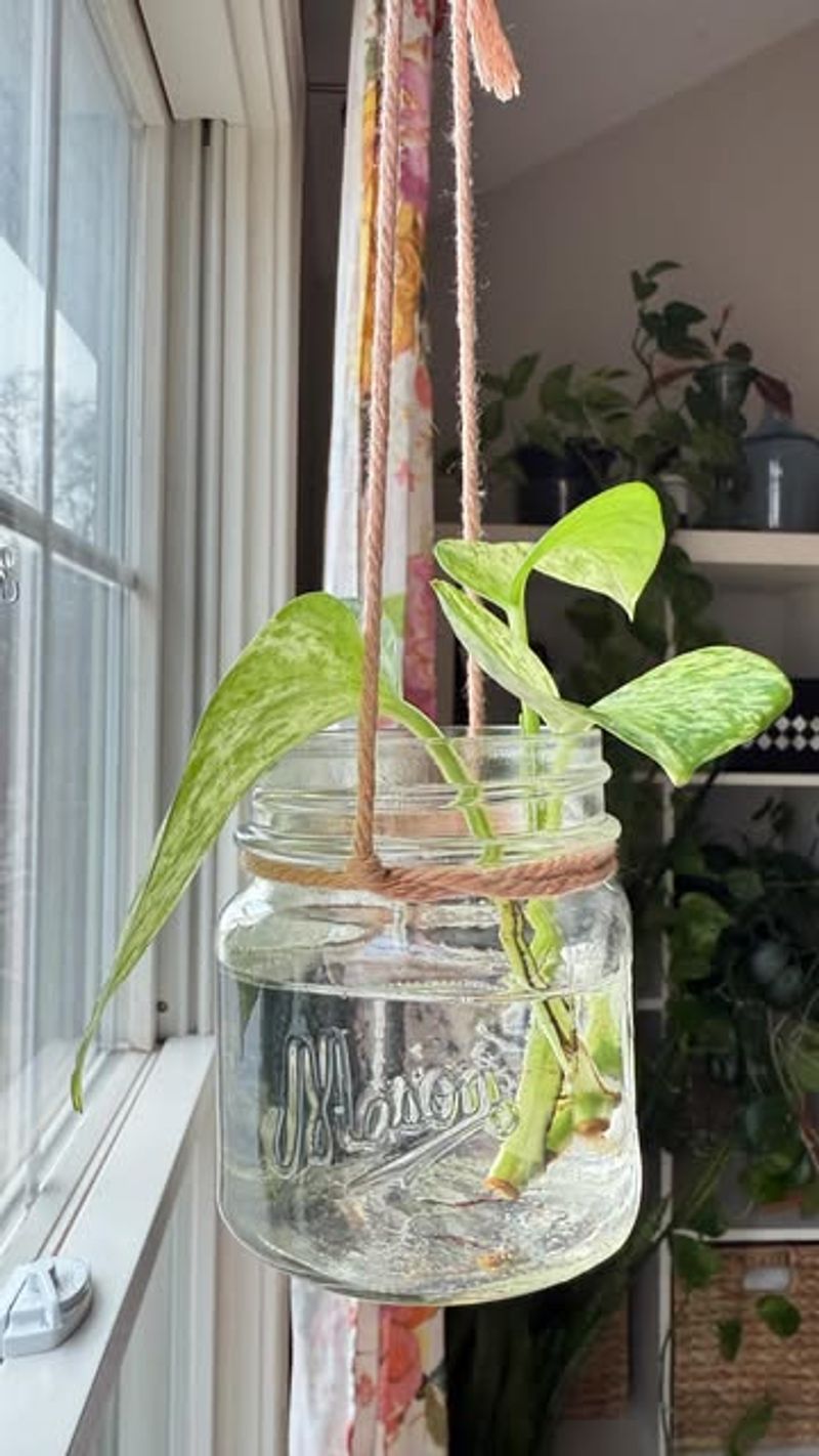 Hanging Mason Jars