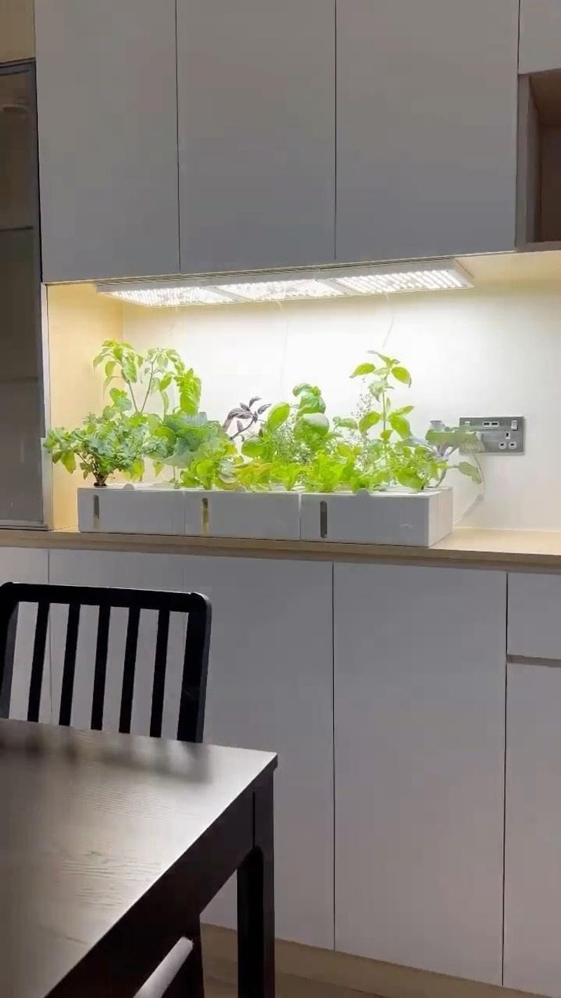 Under-Cabinet LED Herb Garden