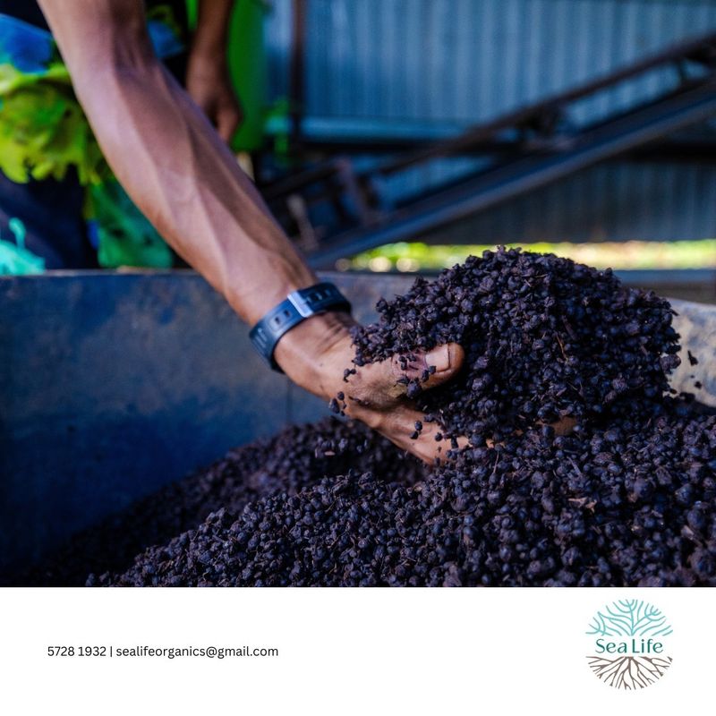 Provides Slow-Release Nutrients