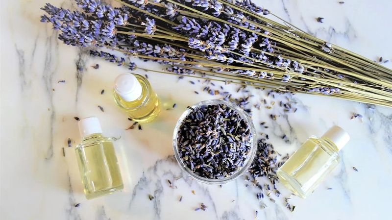 Lavender: Memory Through Relaxation
