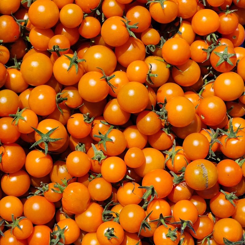 Sungold