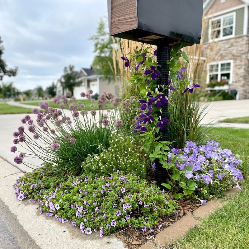 Cluttered Mailbox Area