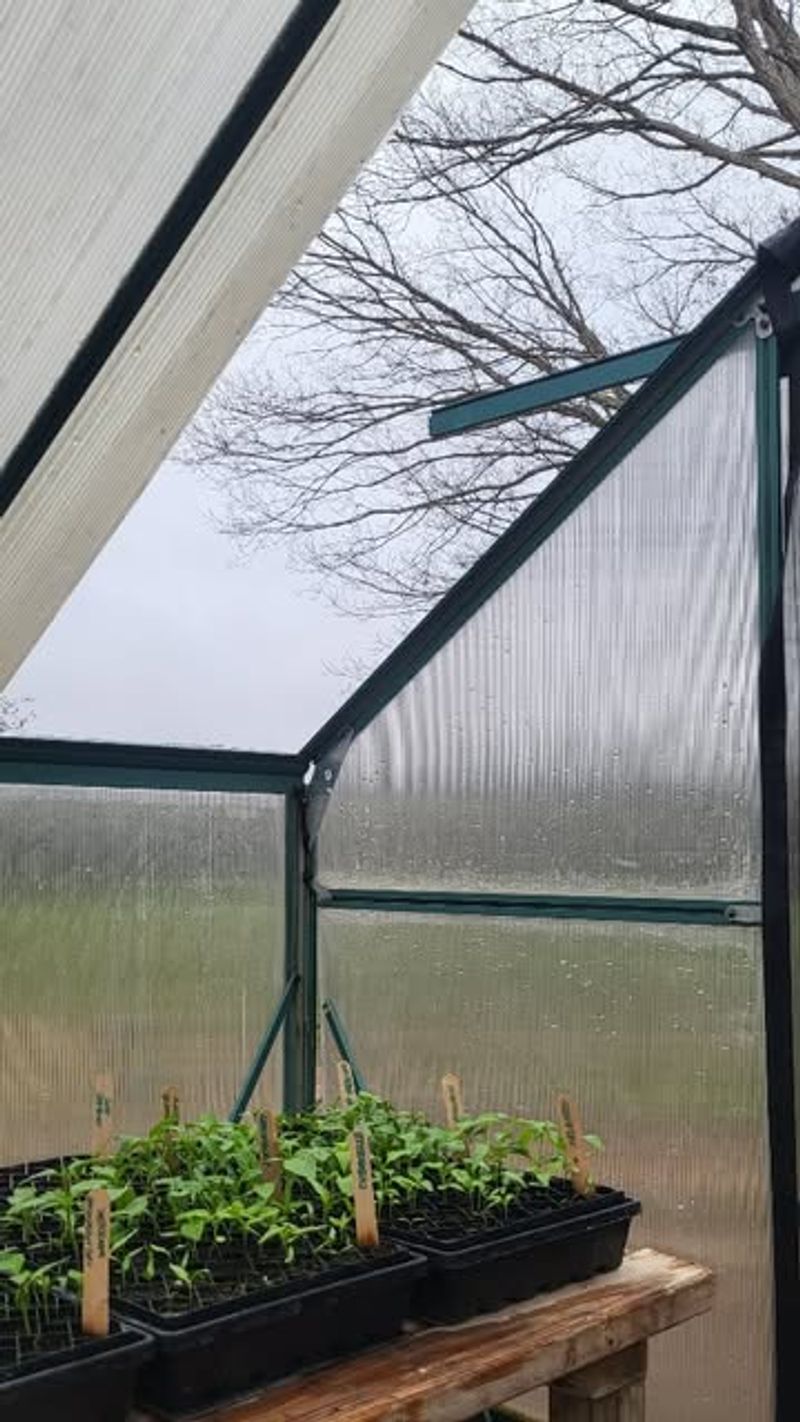Emergency Hail Protection