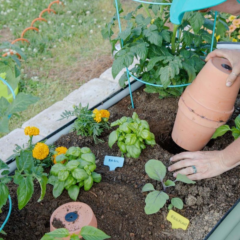 Bucket Ollas Watering System