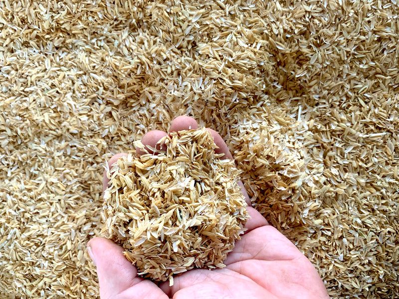 Rice Hulls