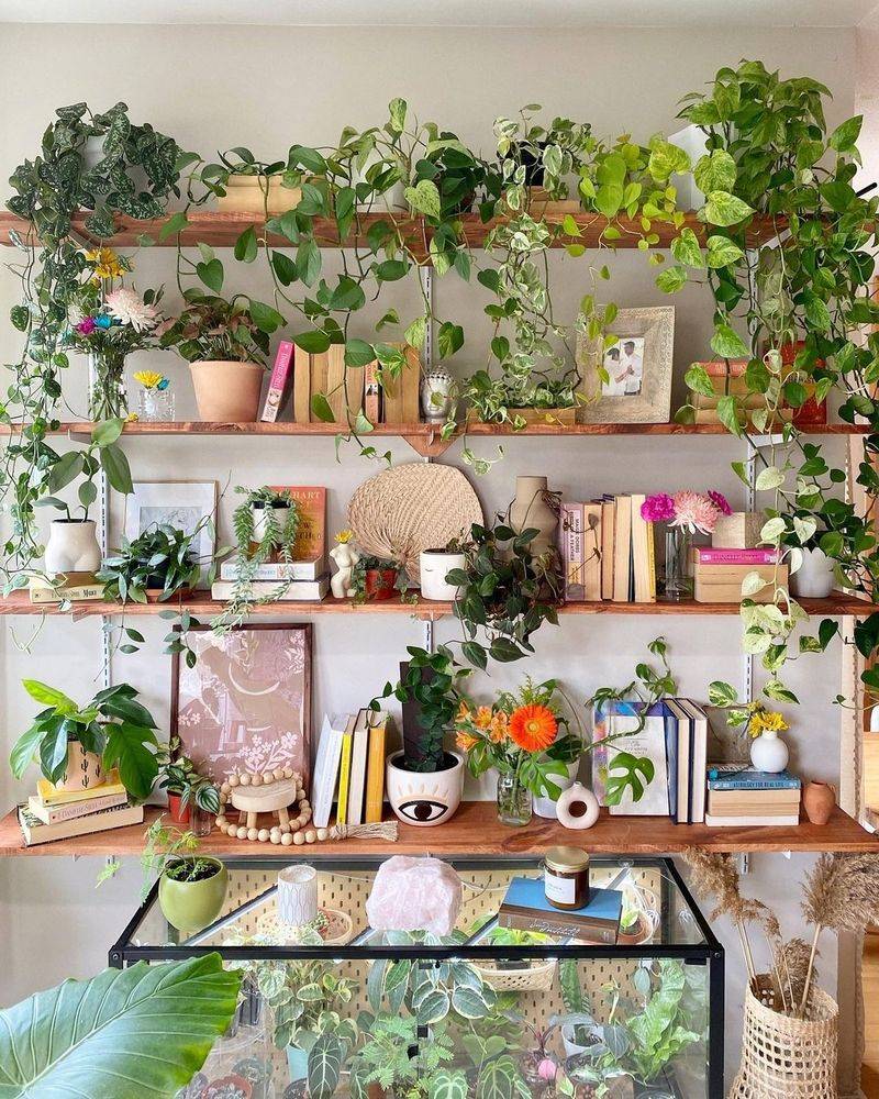 Style A Plant Shelfie