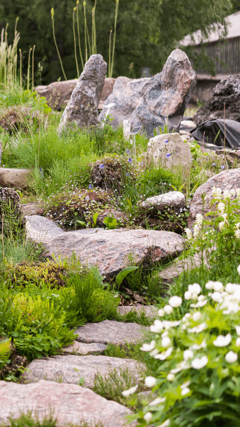 Create a Rock Garden