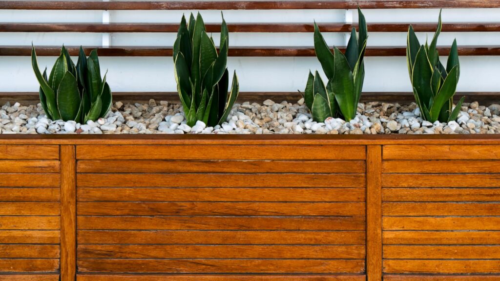 Planters