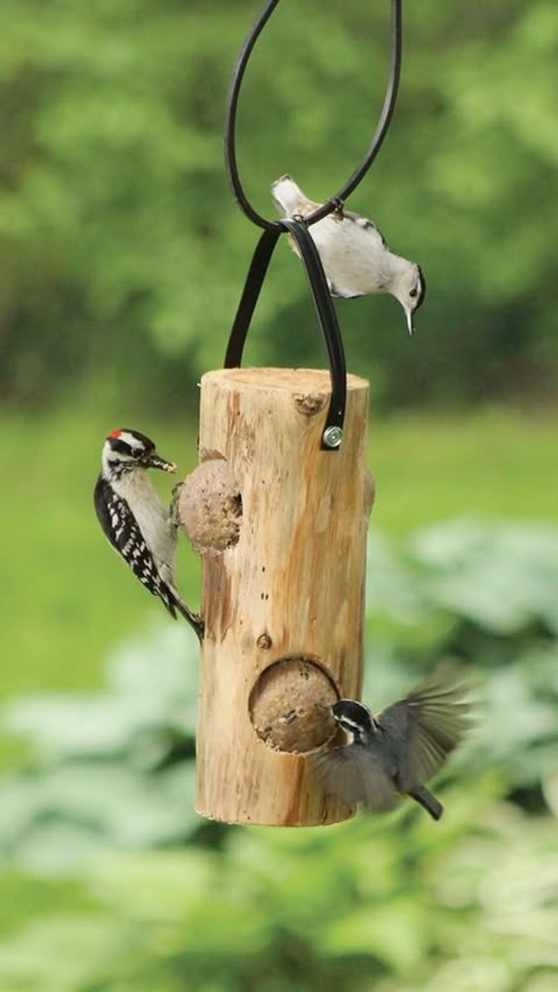 Log Cabin Feeder