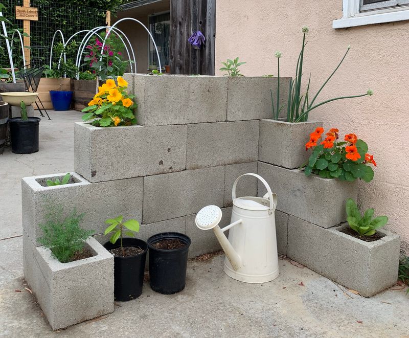 Cinder Block Herb Garden