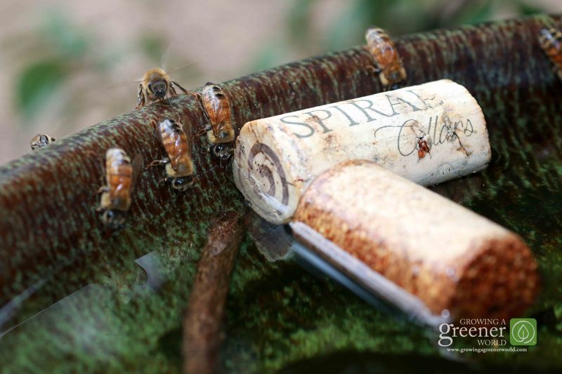Wine Cork Float System