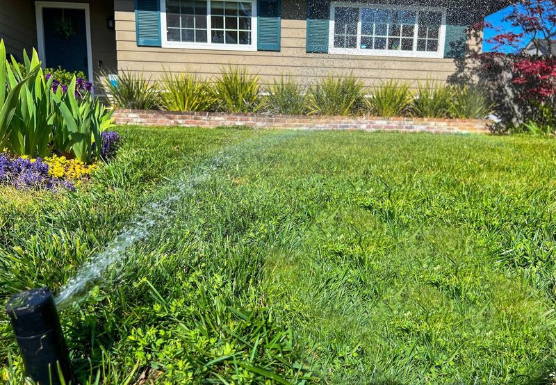 Remove Some Lawn Areas