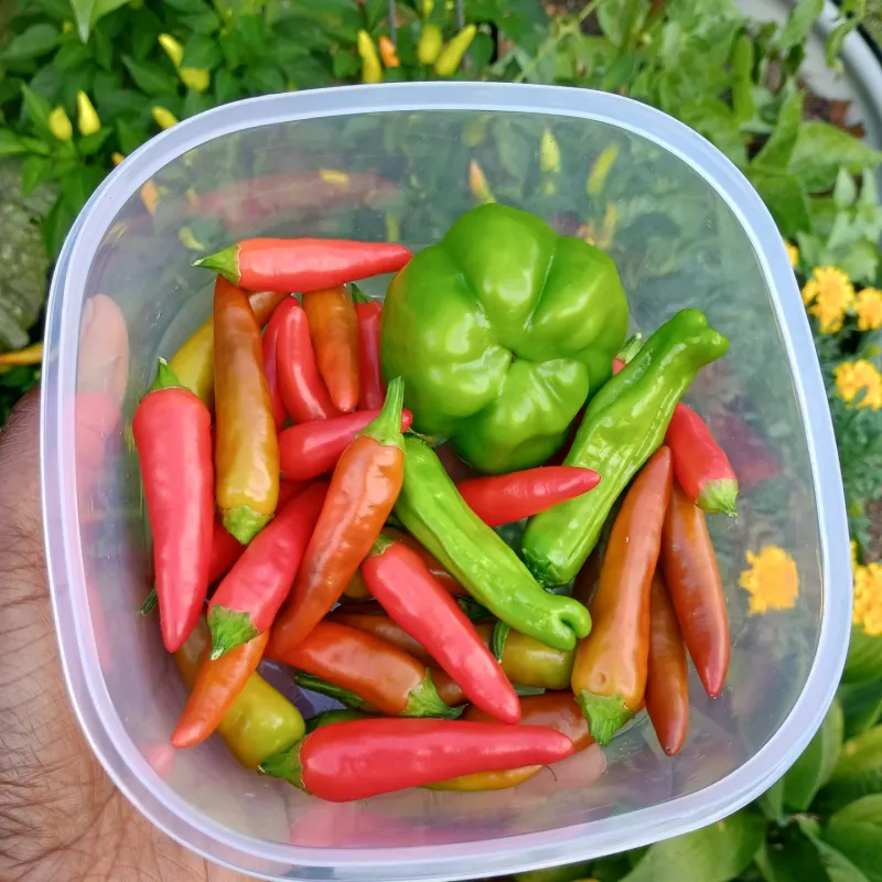 Peppers
