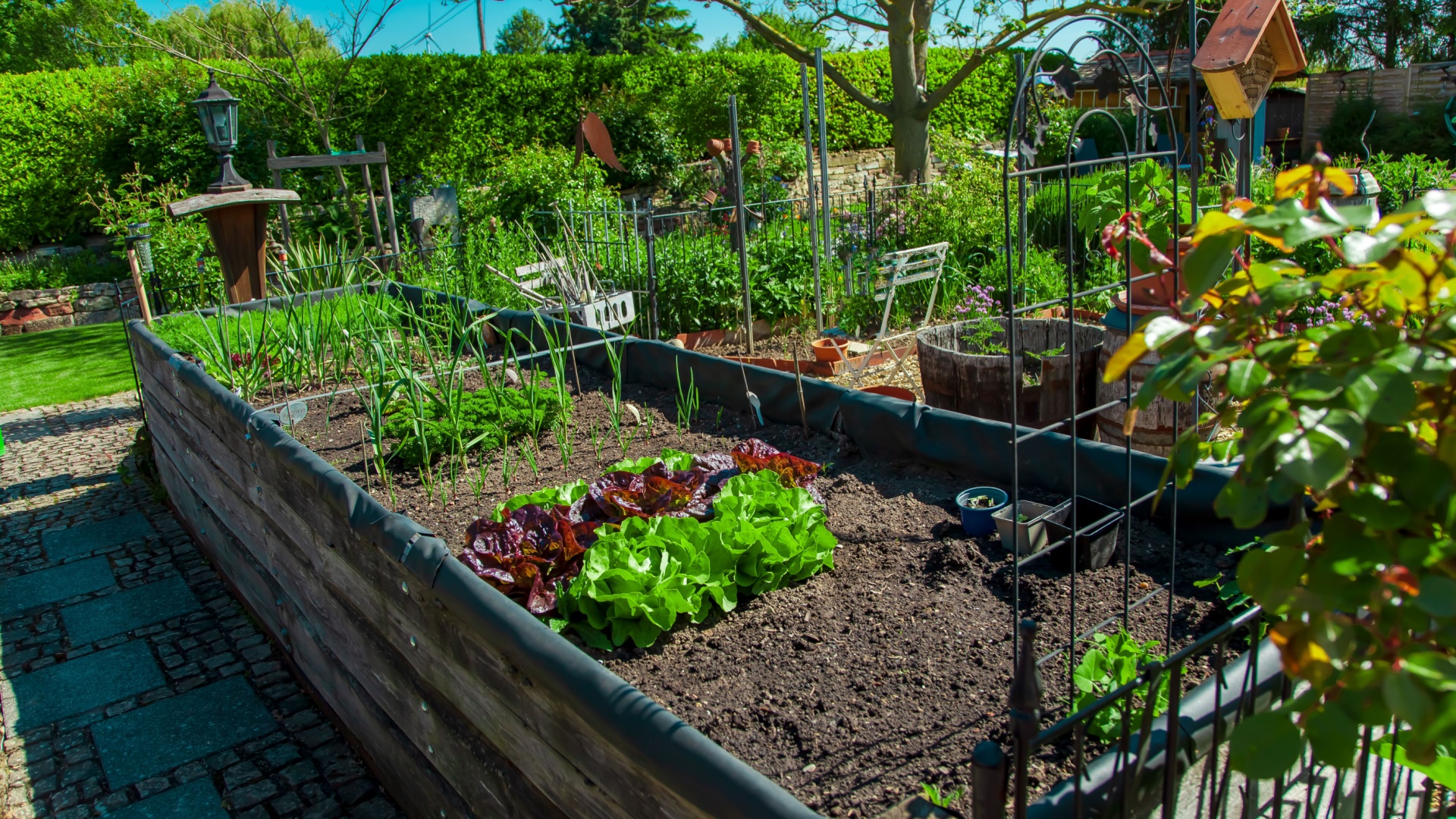 Chaos Gardening Is Wild, Beautiful, And Weirdly Easy—15 Tips For How To Start