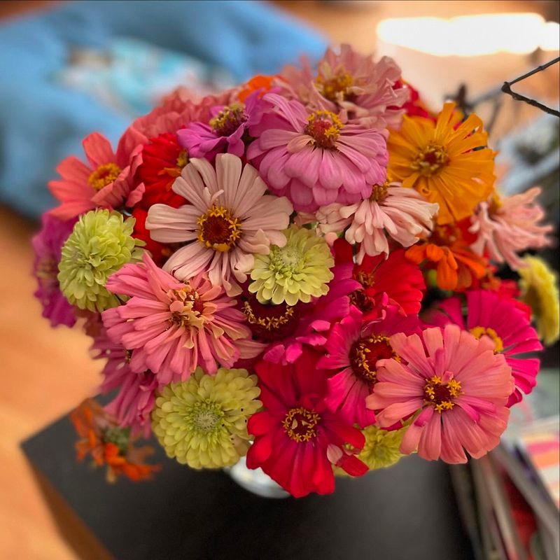 Harvest Flowers for Bouquets as a Form of Deadheading