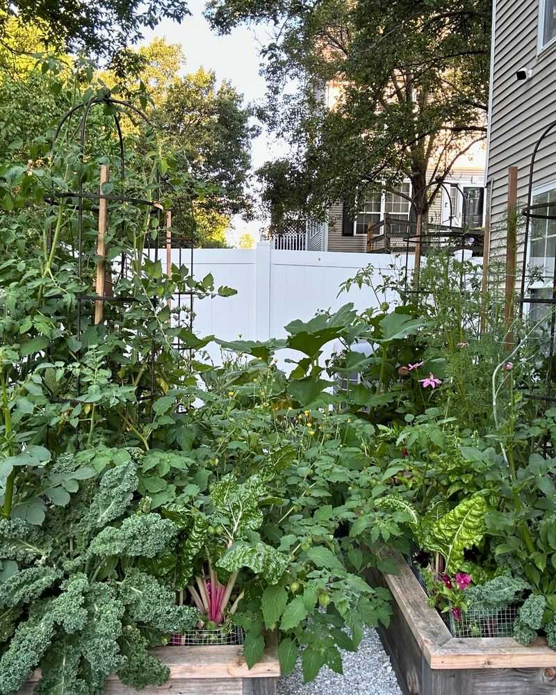Practical Vegetable Garden