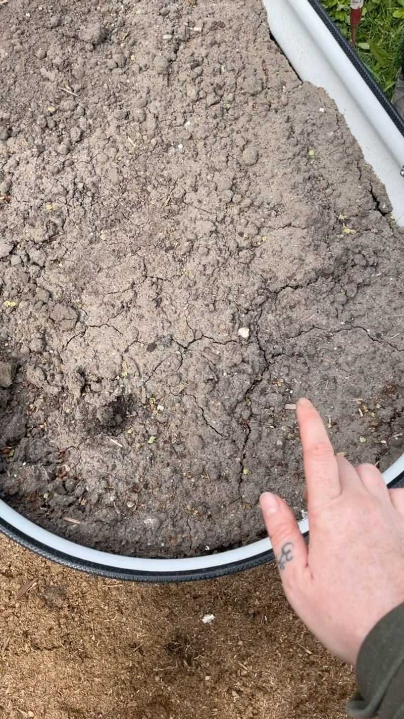 Compacted Soil Formation