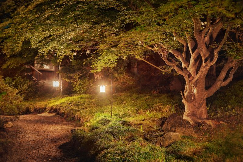Outdoor Lighting That Causes Light Pollution