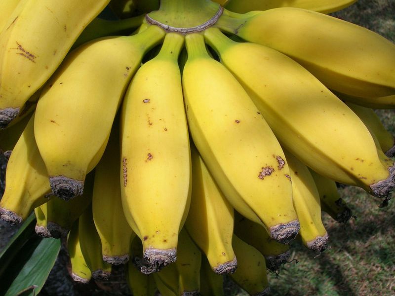 Apple Banana