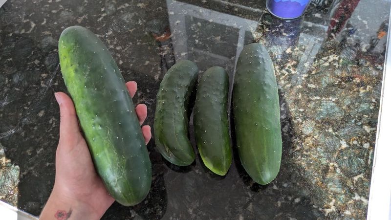 Cucumber Wine