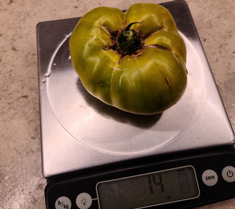 Aunt Ruby's German Green