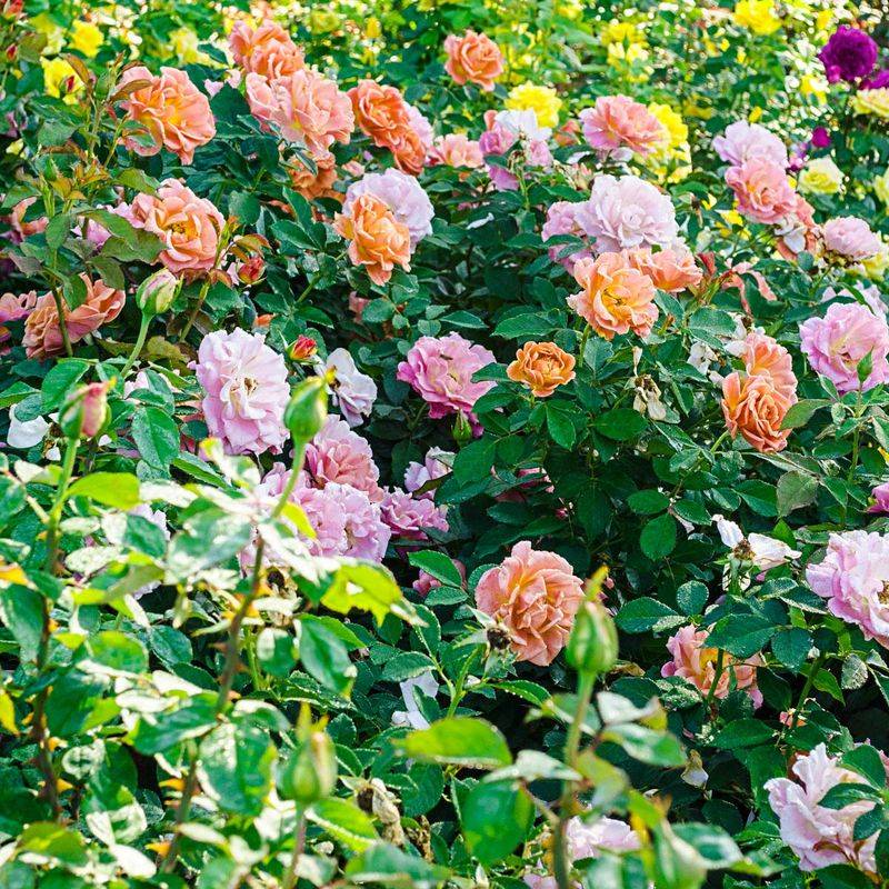 Perfect Your Planting Location